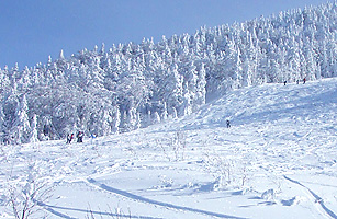 天元台スキー場