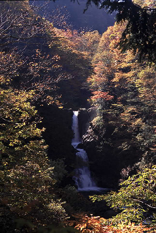 紅葉と白布大滝