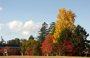 松が岬公園