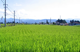 田園風景