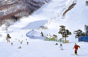 栗子国際スキー場1